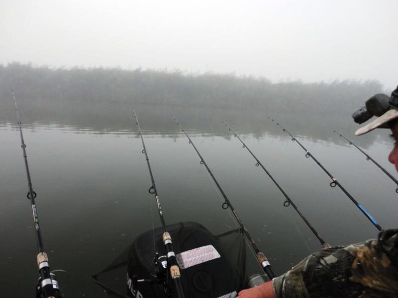 Rosu - Septembrie  2015 - dsc01890.JPG